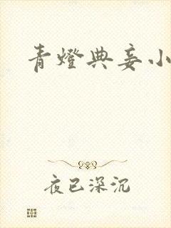 青灯典妾小说