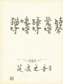 猫咪睡觉时发出呼噜呼噜声音封面