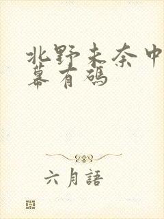 北野未奈中文字幕有码