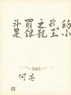 斗罗之我的老婆是银龙王小说