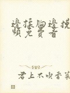 边揉胸边摸下视频免费看