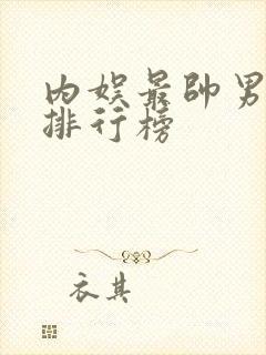 内娱最帅男明星排行榜封面