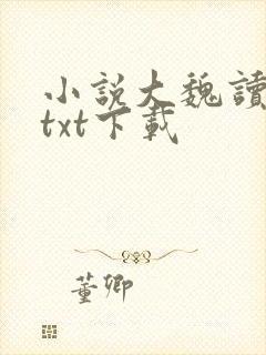小说大魏读书人txt下载