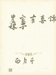 农家有喜锦绣小娘子封面