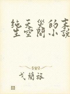 纯天灾的末世重生空间小说封面
