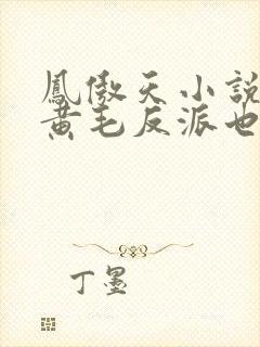 凤傲天小说里的黄毛反派也想幸福子与我非鱼