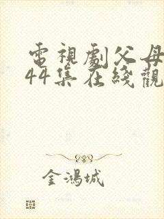 电视剧父母爱情44集在线观看