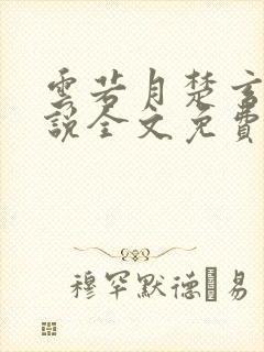 云若月楚玄辰小说全文免费阅读