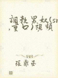 调教男奴(sm,重口)视频