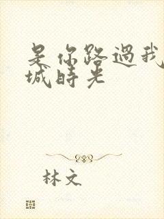 是你路过我的倾城时光