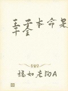 王子本命是恶役千金封面