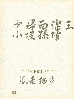 少妇白洁王申高小坡孙倩封面