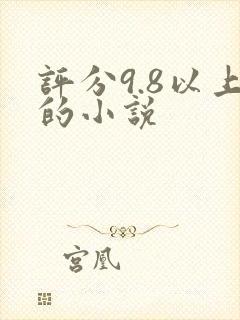 评分9.8以上的小说