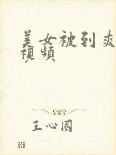 美女被到爽乳头视频