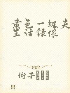 黄色一级夫妻性生活录像