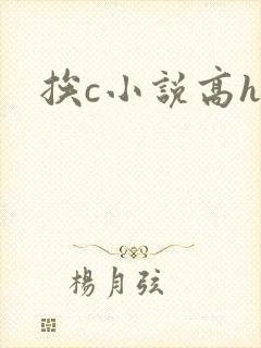 挨c小说高h