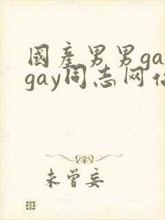 国产男男gaygay同志网站