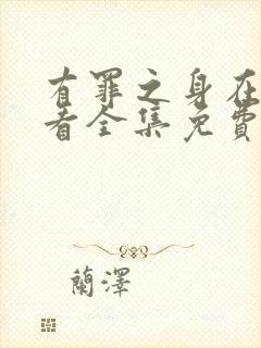 有罪之身在线观看全集免费高清