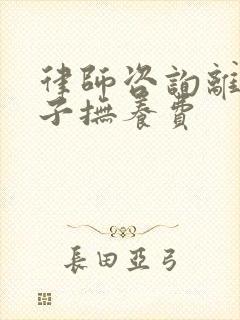 律师咨询离婚孩子抚养费封面