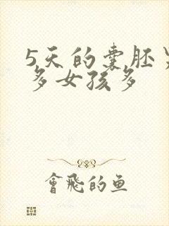 5天的囊胚男孩多女孩多