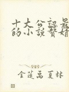 十大公认最好看的小说赘婿封面