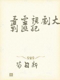 看电视剧大西南剿匪记