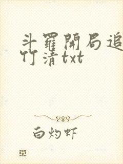斗罗开局追杀朱竹清txt