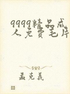 9999精品成人免费毛片在线看