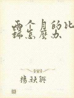 两个月的比熊拉稀怎么办