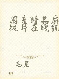 国产精品麻豆一级片在线观看封面