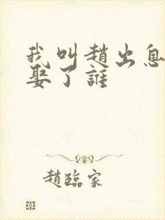 我叫赵出息最后娶了谁封面