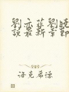 刘亦菲刘晓莉小说最新章节更新