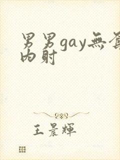 男男gay无套内射