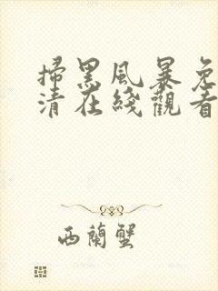 扫黑风暴免费高清在线观看