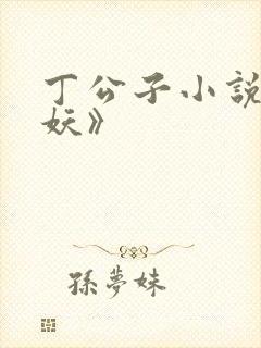 丁公子小说《官妖》