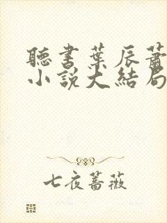 听书叶辰萧初然小说大结局