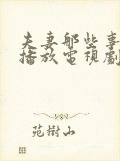 夫妻那些事免费播放电视剧全集