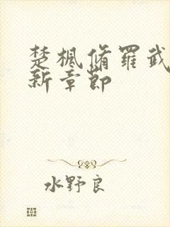 楚枫修罗武神全新章节