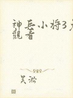 神兵小将3免费观看