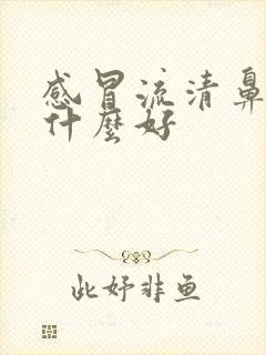 感冒流清鼻涕吃什么好