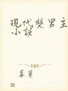 现代双男主总裁小说