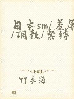 日本sm/羞辱/调教/紧缚