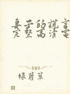 妻子的谎言免费完整高清电视剧看封面