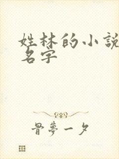 姓林的小说女主名字