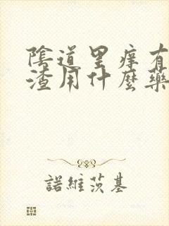 阴道里痒有豆腐渣用什么药