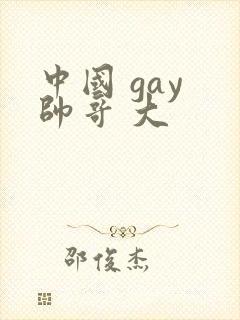 中国 gay 帅哥 大
