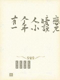 有个人暗恋我十一年小说免费阅读封面