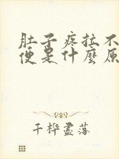 肚子疼拉不出大便是什么原因