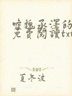 嘘魏承泽的小说免费阅读txt