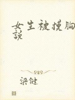 女生被摸胸的小说